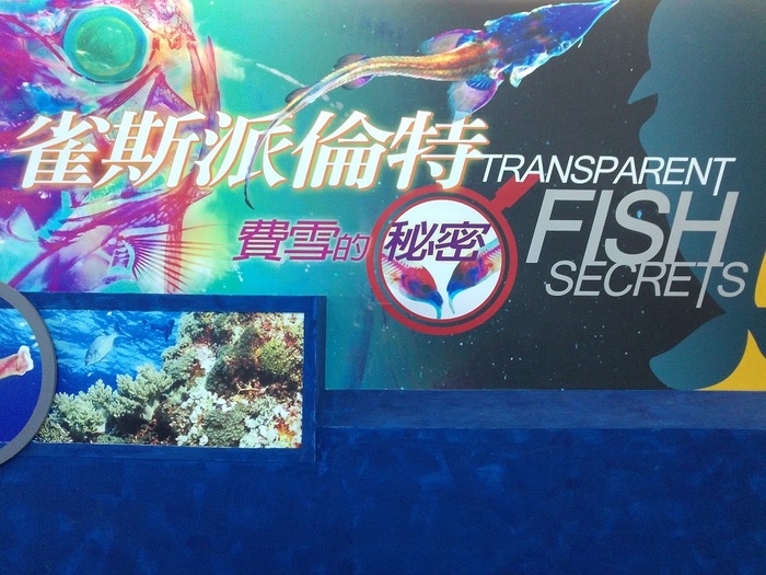 圖片說明
